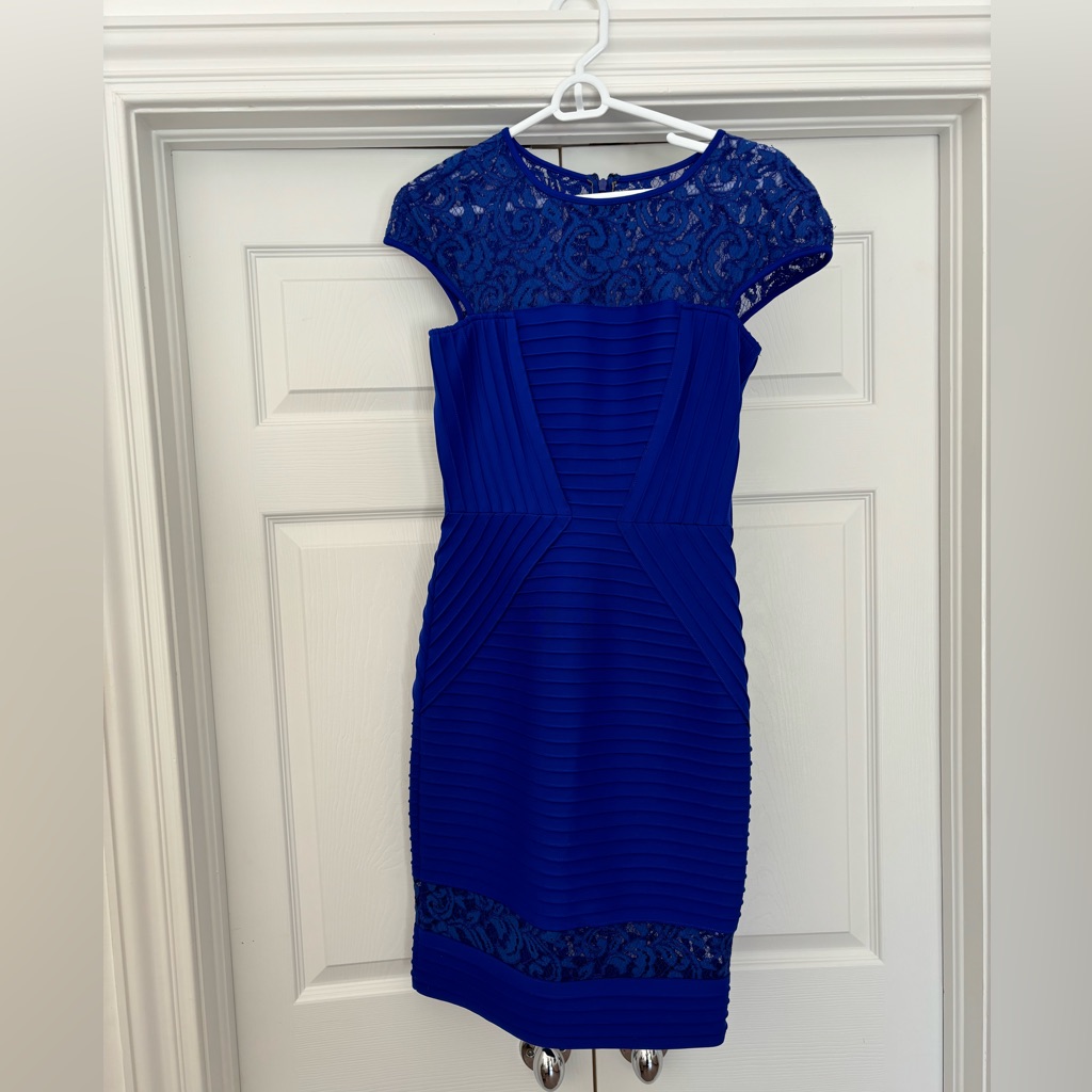 Tadashi Shoji Pintuck Paneled Sheath Dress